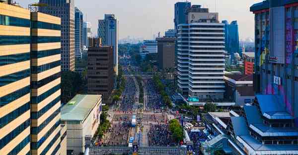 属猪2024年7月18日运势,属猪人2024年7月18日财运,生肖猪2024年7月18日运势