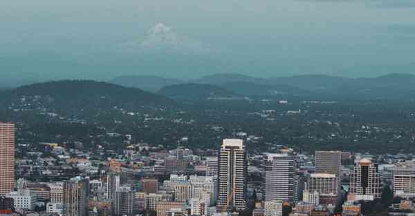 属鸡2024年2月5日运势,属鸡人2024年2月5日财运,生肖鸡2024年2月5日运势