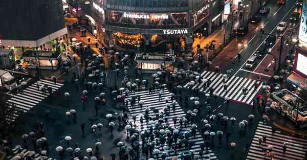 属虎2025年2月5日运势,属虎人2025年2月5日财运,生肖虎2025年2月5日运势